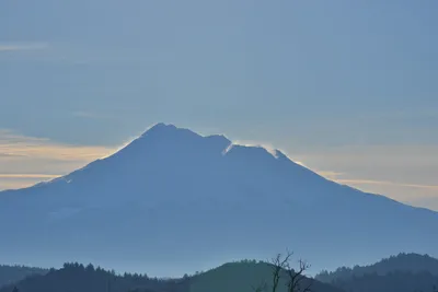 DSC_6020 (Large).JPG